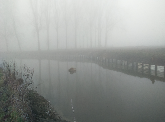 Nominatieve toelage vissersclub "Onder Ons" Outrijve Visvijver, gelegen in de Scheldemeersen, nabij de Moerbeekstraat