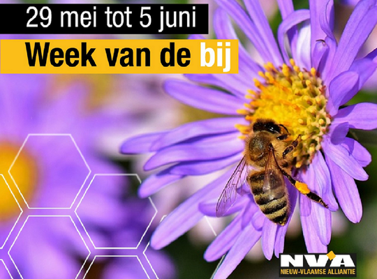 N-VA Avelgem - Week van de Bij 2022 N-VA Avelgem - Week van de Bij 2022